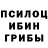 Псилоцибиновые грибы Psilocybe Anatoliy Kozynyy