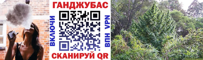 Шишки марихуана марихуана Кемь